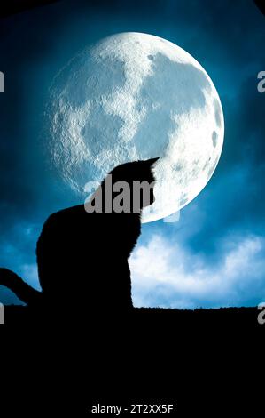 silhouette di gatto davanti a una luna piena Foto Stock