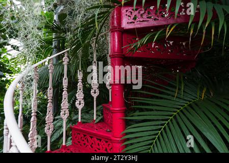 Dettagli all'interno di un giardino botanico del periodo vittoriano britannico Foto Stock