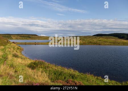 Una rovina di una baracca ai margini di un lago in Scozia in una soleggiata mattinata estiva durante una mattinata estiva Foto Stock