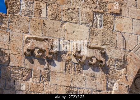 La porta dei Leoni è uno dei sette ingressi alla città vecchia di Gerusalemme. Prende il nome dai leoni scolpiti sul suo muro. Foto Stock