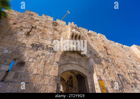 La porta dei Leoni è una delle sette entrate della città Vecchia di Gerusalemme. Prende il nome dai leoni scolpiti sul suo muro. Foto Stock