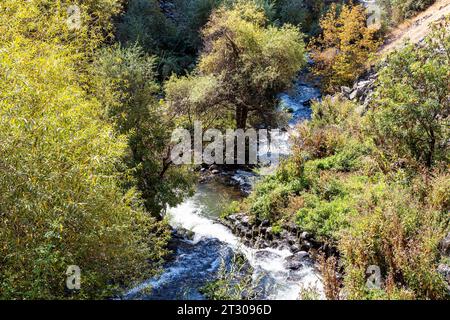 Il fiume Mountain Goght nella gola di Garni in Armenia nelle soleggiate giornate autunnali Foto Stock