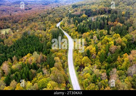 Vista aerea di una strada locale nel mezzo della foresta in autunno con foglie autunnali, nella incontaminata regione della dolenjska in Slovenia Foto Stock