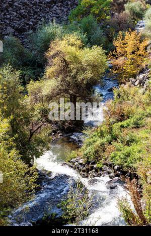 Ruscello di montagna del fiume Goght nella gola di Garni in Armenia in soleggiata giornata autunnale Foto Stock