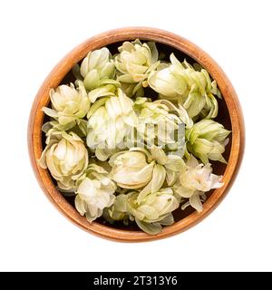 Luppolo, fiori di luppolo essiccati in una ciotola di legno. Humulus lupulus, membro della famiglia delle Cannabaceae, usato come agente amaro, aromatizzante e di stabilità. Foto Stock