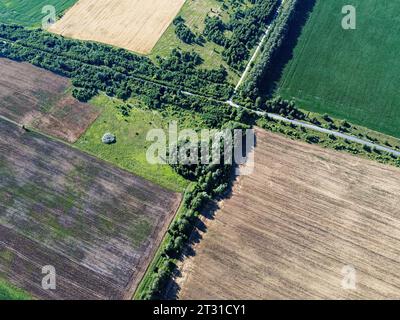 Crocevia di due strade tra campi agricoli, vista aerea. Paesaggio agrario, vista dall'alto. Foto Stock