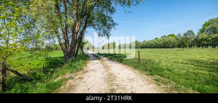 Vista panoramica con sterrata strada di campagna vicino a prati verdi. Foto Stock