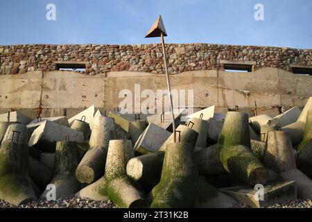 Foreshore concrete Defence Blocks a Swanbridge, vicino Penarth, Galles del Sud, Regno Unito Foto Stock