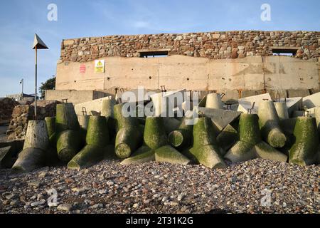 Foreshore concrete Defence Blocks a Swanbridge, vicino Penarth, Galles del Sud, Regno Unito Foto Stock