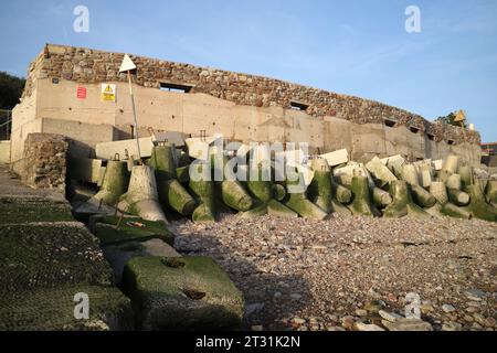 Foreshore concrete Defence Blocks a Swanbridge, vicino Penarth, Galles del Sud, Regno Unito Foto Stock