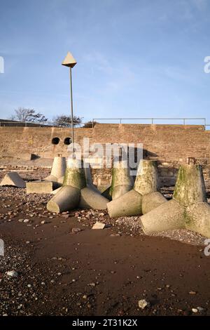 Foreshore concrete Defence Blocks a Swanbridge, vicino Penarth, Galles del Sud, Regno Unito Foto Stock