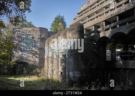 St Seminario di Peter nella tenuta Kilmahew vicino a Cardross, Dumbarton, Scozia. Un edificio brutalista in cemento abbandonato in un bosco ricoperto di graffiti Foto Stock