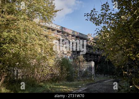 St Seminario di Peter nella tenuta Kilmahew vicino a Cardross, Dumbarton, Scozia. Un edificio brutalista in cemento abbandonato in un bosco ricoperto di graffiti Foto Stock