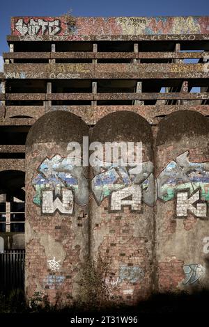 St Seminario di Peter nella tenuta Kilmahew vicino a Cardross, Dumbarton, Scozia. Un edificio brutalista in cemento abbandonato in un bosco ricoperto di graffiti Foto Stock