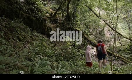 Persone in andatura. Creativo. I turisti che camminano nella natura intorno a piante e fiumi con paesaggi incredibili. Foto Stock