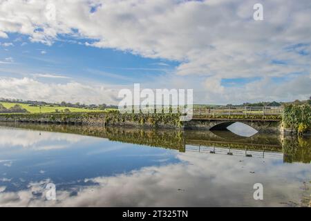 Timoleague, Co. Cork, estuario in alta marea nell'ottobre 2023. Foto Stock