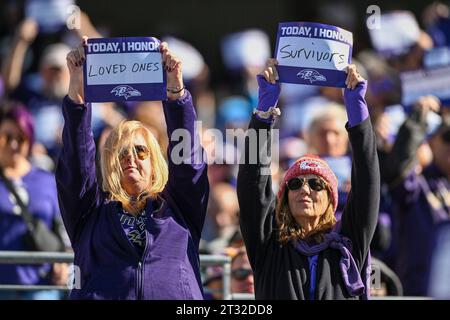 Baltimora, Stati Uniti. 22 ottobre 2023. I tifosi dei Baltimore Ravens riconoscono il mese di sensibilizzazione al cancro durante il primo tempo al M&T Bank Stadium di Baltimora, Maryland, domenica 22 ottobre 2023. Foto di David Tulis/UPI credito: UPI/Alamy Live News Foto Stock