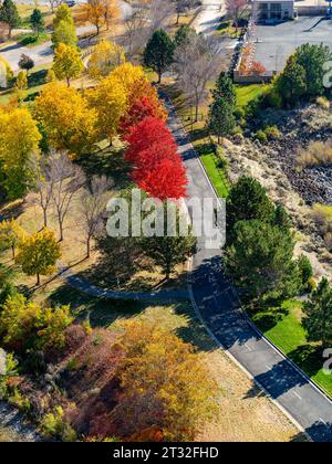 Alberi autunnali in un parco pubblico con una strada Foto Stock