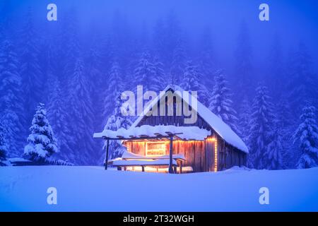 Una cabina isolata in legno tra abeti innevati su un prato di montagna incastonato nel profondo dei boschi in inverno. Cartolina di Natale. Foresta di montagne innevate Foto Stock