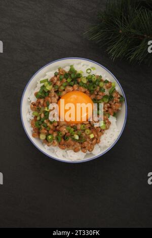 Riso con Natto e uovo, cibo giapponese Foto Stock