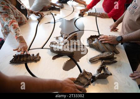 DRUMHELLER, ALBERTA - 12 maggio 2022 - bambini al Royal Tyrrell Museum. Foto di alta qualità Foto Stock