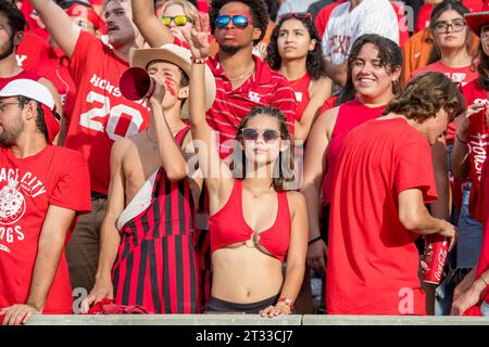 Houston, Texas, Stati Uniti. 21 ottobre 2023. Tifosi degli Houston Cougars durante una partita tra i Texas Longhorns e gli Houston Cougars a Houston, Texas. Trask Smith/CSM/Alamy Live News Foto Stock