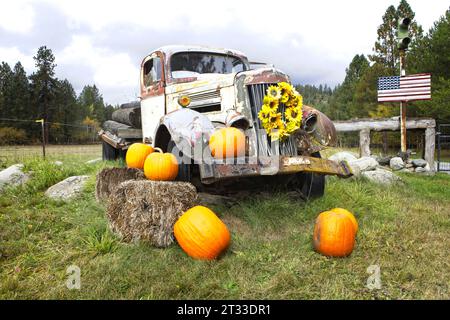 Un vecchio camion vecchio e antiquato si trova nell'erba come sostegno per le decorazioni con fiori e zucche nell'Idaho settentrionale. Foto Stock