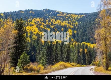 I colori dell'autunno. Paesaggio panoramico nel New Mexico Foto Stock