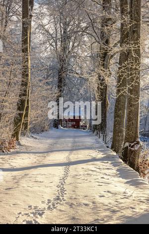 Sentiero con piste per animali nella neve fino a un cottage rosso Foto Stock