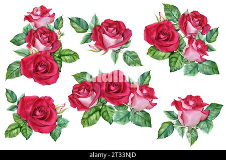 Un insieme di composizioni con rose in fiore, gemme e foglie. Illustrazione acquerello isolata su bianco per l'invito a carte Foto Stock