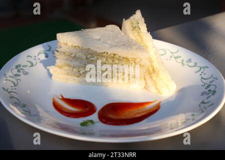 Panino semplice con formaggio e chutney servito con ketchup di pomodoro, menta verde e salsa di coriandolo. giardino di fondo. Vista piatta o dall'alto. Foto Stock