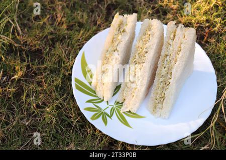 Panino semplice con formaggio e chutney servito con ketchup di pomodoro, menta verde e salsa di coriandolo. giardino di fondo. Vista piatta o dall'alto. Foto Stock