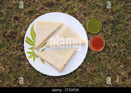 Panino semplice con formaggio e chutney servito con ketchup di pomodoro, menta verde e salsa di coriandolo. giardino di fondo. Vista piatta o dall'alto. Foto Stock