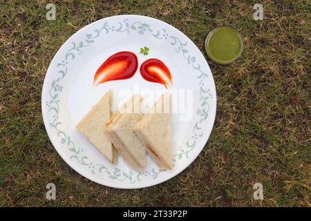 Panino semplice con formaggio e chutney servito con ketchup di pomodoro, menta verde e salsa di coriandolo. giardino di fondo. Vista piatta o dall'alto. Foto Stock