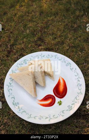 Panino semplice con formaggio e chutney servito con ketchup di pomodoro, menta verde e salsa di coriandolo. giardino di fondo. Vista piatta o dall'alto. Foto Stock