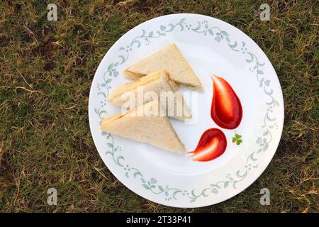 Panino semplice con formaggio e chutney servito con ketchup di pomodoro, menta verde e salsa di coriandolo. giardino di fondo. Vista piatta o dall'alto. Foto Stock