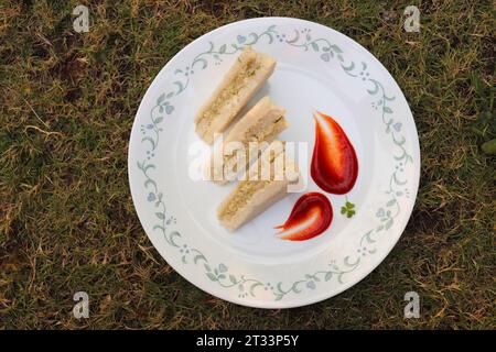 Panino semplice con formaggio e chutney servito con ketchup di pomodoro, menta verde e salsa di coriandolo. giardino di fondo. Vista piatta o dall'alto. Foto Stock