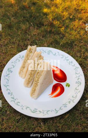 Panino semplice con formaggio e chutney servito con ketchup di pomodoro, menta verde e salsa di coriandolo. giardino di fondo. Vista piatta o dall'alto. Foto Stock