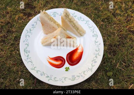 Panino semplice con formaggio e chutney servito con ketchup di pomodoro, menta verde e salsa di coriandolo. giardino di fondo. Vista piatta o dall'alto. Foto Stock