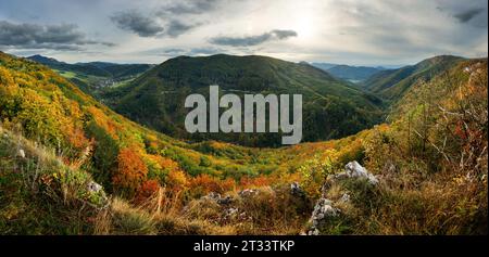 Panorama autunnale della foresta al tramonto con foresta e vallata Foto Stock