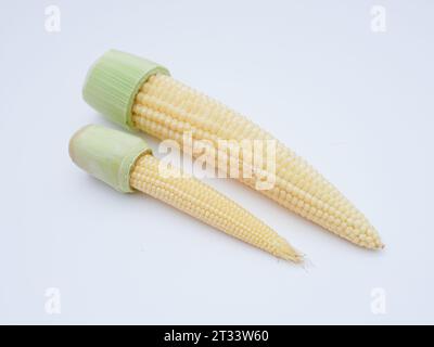 piccolo mais sbucciato isolato su sfondo bianco Foto Stock
