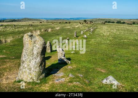 Una fila di pietre, uno dei numerosi monumenti dell'età del bronzo intorno a Merrivale a Dartmoor, vicino a Tavistock, nel Devon. Foto Stock