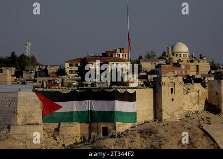 21 ottobre 2023: Gaziantep, Turkiye. 21 ottobre 2023. Una grande bandiera palestinese è esposta al castello di Gaziantep nel sud del Turkiye. La bandiera fa parte dell'espressione di solidarietà di Turkiye verso Gaza. Da un'importante operazione di Hamas in Israele, il 7 ottobre, l'esercito israeliano ha bombardato Gaza con continui bombardamenti uccidendo e ferendo migliaia di palestinesi nell'enclave palestinese malata (Credit Image: © Muhammed Ibrahim Ali/IMAGESLIVE via ZUMA Press Wire) SOLO PER USO EDITORIALE! Non per USO commerciale! Foto Stock