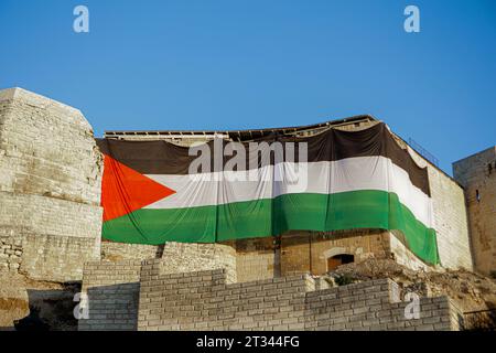 21 ottobre 2023: Gaziantep, Turkiye. 21 ottobre 2023. Una grande bandiera palestinese è esposta al castello di Gaziantep nel sud del Turkiye. La bandiera fa parte dell'espressione di solidarietà di Turkiye verso Gaza. Da un'importante operazione di Hamas in Israele, il 7 ottobre, l'esercito israeliano ha bombardato Gaza con continui bombardamenti uccidendo e ferendo migliaia di palestinesi nell'enclave palestinese malata (Credit Image: © Muhammed Ibrahim Ali/IMAGESLIVE via ZUMA Press Wire) SOLO PER USO EDITORIALE! Non per USO commerciale! Foto Stock