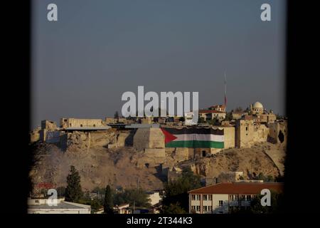 21 ottobre 2023: Gaziantep, Turkiye. 21 ottobre 2023. Una grande bandiera palestinese è esposta al castello di Gaziantep nel sud del Turkiye. La bandiera fa parte dell'espressione di solidarietà di Turkiye verso Gaza. Da un'importante operazione di Hamas in Israele, il 7 ottobre, l'esercito israeliano ha bombardato Gaza con continui bombardamenti uccidendo e ferendo migliaia di palestinesi nell'enclave palestinese malata (Credit Image: © Muhammed Ibrahim Ali/IMAGESLIVE via ZUMA Press Wire) SOLO PER USO EDITORIALE! Non per USO commerciale! Foto Stock