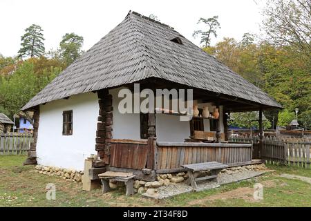 Muzeul Civilizației Populare Tradiționale ASTRA (Museo ASTRA della civiltà popolare tradizionale), Sibiu, Contea di Sibiu, Transilvania, Romania, Europa Foto Stock