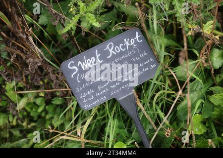 Una selezione di etichette di piante raffigurate accanto alle piante in crescita al Weald & Downland Museum di Chichester, West Sussex, Regno Unito. Foto Stock