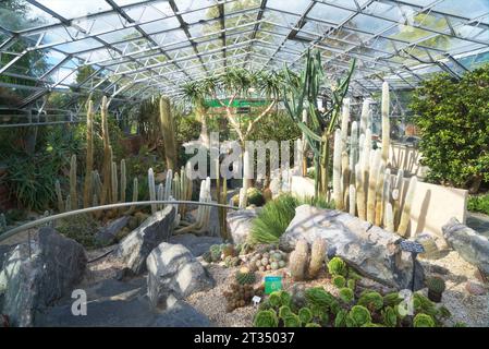 Casa dei cactus dei Giardini Botanici di Inverness; vicino al fiume Ness sulla riva occidentale. Vicino al sentiero delle Isole Ness. Inverness, Highlands, Scozia, Regno Unito Foto Stock