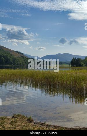 Guarda a sud sullo splendido Loch Pityoulish sulla B970 vicino a Coylumbridge, vicino ad Aviemore. Cairngorms National Park, Highlands, Scozia, Regno Unito Foto Stock