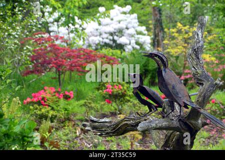 Paio di magpie di metallo su un albero morto dello scultore Helen Denerley nell'Himalayan Garden & Sculpture Park, North Yorkshire, Inghilterra, Regno Unito. Foto Stock